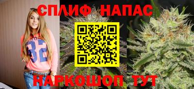 спиды Будённовск