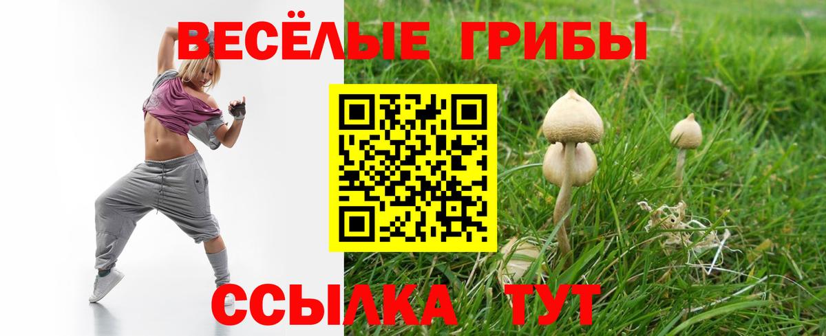 Псилоцибиновые грибы Magic Shrooms  что такое   Вход с VPN  Чапаевск  Галлюциногенные грибы прущие грибы 